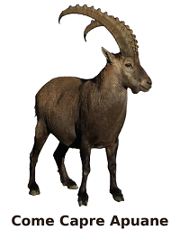 uu