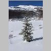 IMG_3734.JPG