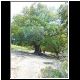 DSCN0858.JPG