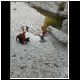 DSCN0766.JPG