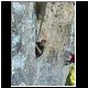 DSCN0570.JPG