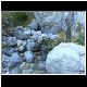 DSCN1479.JPG