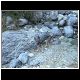 DSCN1481.JPG