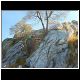 DSCN1493.JPG
