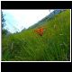 DSCN1241.JPG