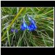 DSCN1266.JPG
