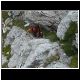 DSCN1297.JPG