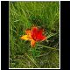 DSCN1051.JPG