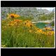 DSCN3908.JPG