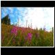 DSCN3924.JPG