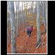 DSCN4834.JPG