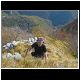 DSCN4848.JPG