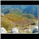 DSCN4860.JPG