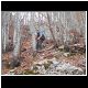DSCN4902.JPG