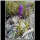DSCN3271.JPG