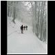 DSCN2057.JPG