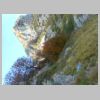 DSCN7881.JPG