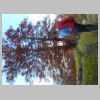 DSCN7883.JPG