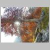 DSCN7885.JPG