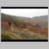 DSCN0580.JPG