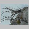 DSCN0890.JPG