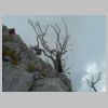 DSCN0891.JPG