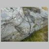 DSCN0950.JPG