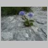 DSCN1550.JPG