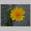 DSCN2349.JPG