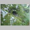 DSCN4509.JPG
