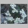 DSCN4516.JPG