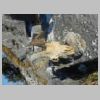 DSCN4520.JPG