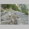 DSCN4541.JPG