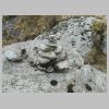 DSCN3981.BMP