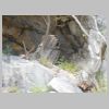 DSCN4195.BMP