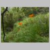 DSCN4215.JPG