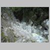 DSCN5631.jpg