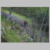 DSCN5633.jpg
