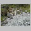 DSCN5635.jpg