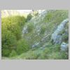 DSCN5644.jpg