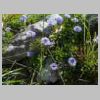 DSCN5649.jpg