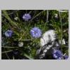 DSCN5651.jpg