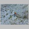DSCN5874.jpg