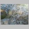 DSCN5920.jpg