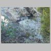 DSCN5930.jpg