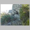 DSCN5931.jpg