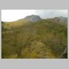 DSCN5841.jpg