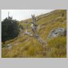 DSCN5850.jpg
