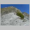 DSCN5684.jpg