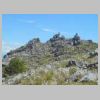DSCN5708.jpg